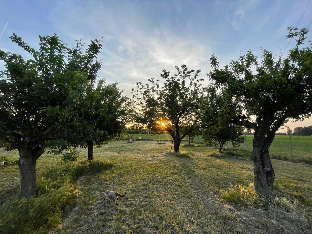 Malamu Bnb Eventi Rigosa Εξωτερικό φωτογραφία